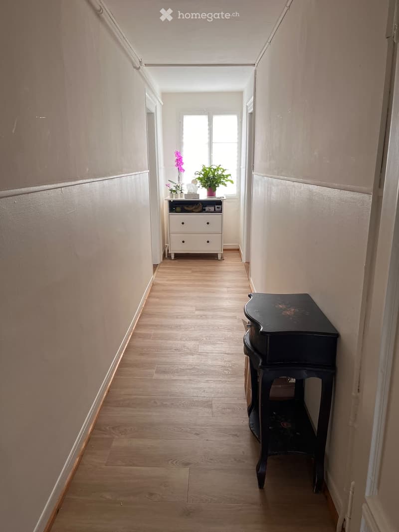 A narrow hallway with wooden flooring, light-colored walls, and a small black table with a floral design on the right side. A small white drawer unit with a potted plant sits against the far wall near a window.