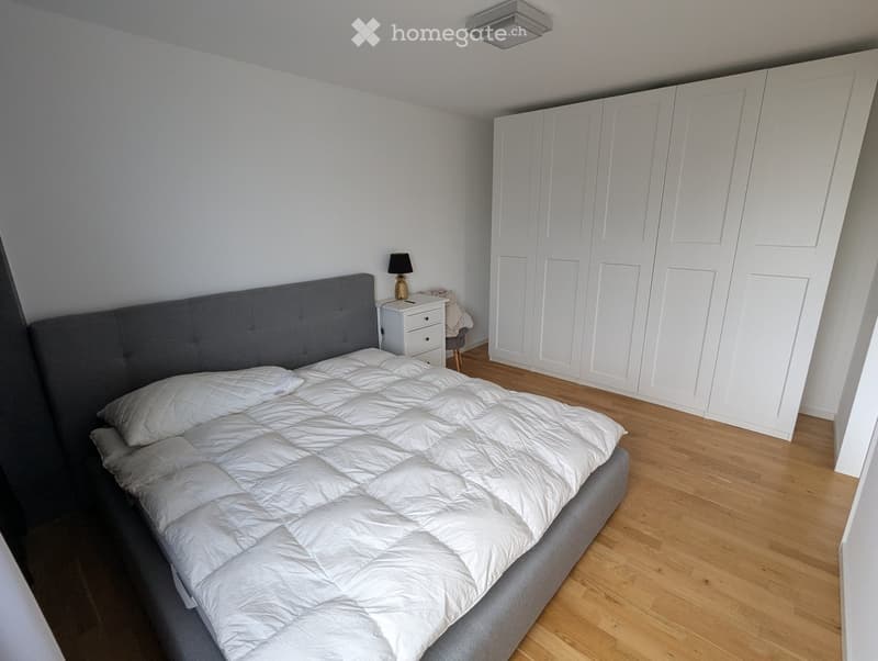 Modern bedroom with a large bed, white bedding, grey headboard, nightstand with lamp, and built-in white wardrobes.