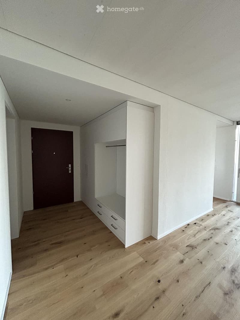 Empty room with light wooden flooring, white walls, and a built-in closet with drawers and a mirrored door. The room has a single dark brown door and appears to be part of a modern interior design.