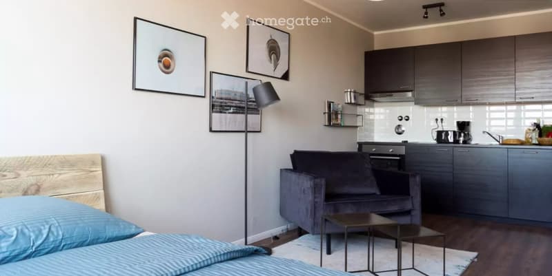 A modern, open-concept room features a bed with blue bedding, a grey sofa, a coffee table, a floor lamp, and a compact kitchen area with dark cabinets, a sink, and various appliances.