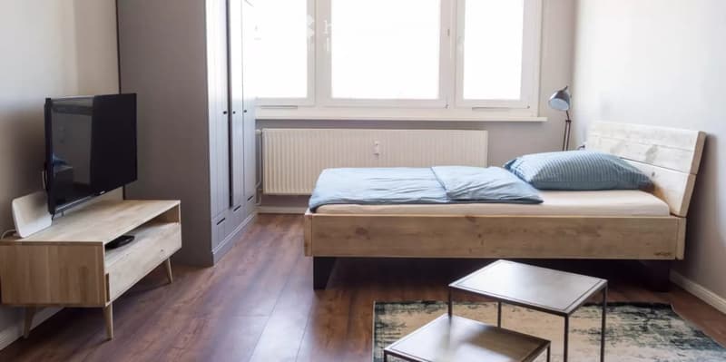 A modern, well-lit bedroom with a wooden bed, nightstand, small table, and television. The room features large windows, a radiator, and a patterned rug on the floor.