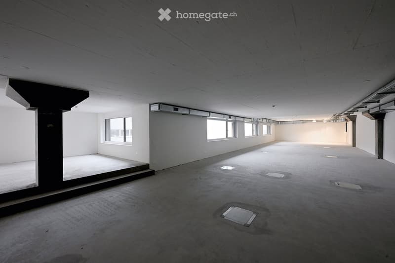 large room, grey floor, windows, blank walls, concrete ceiling