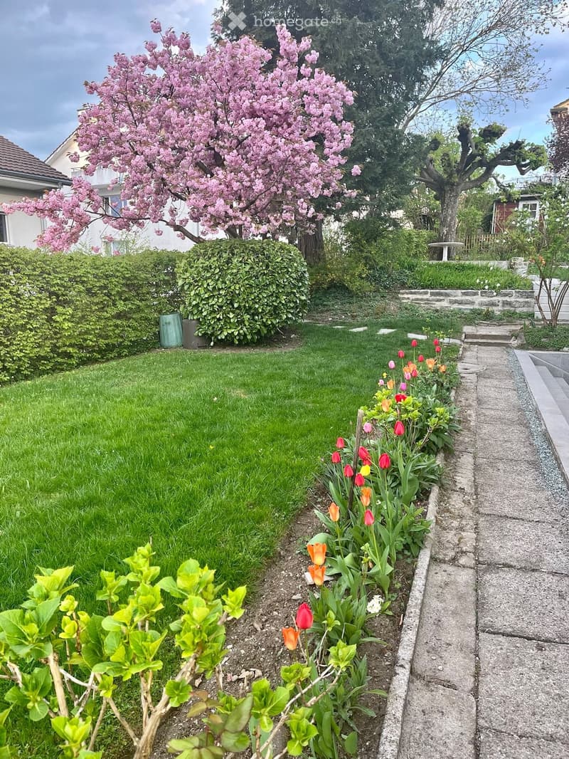 Well-maintained garden with a large blooming tree, neatly trimmed bushes, colorful tulips, and a stone pathway leading to the house.