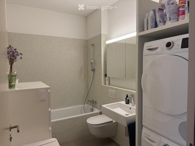 Modern bathroom with a bathtub, toilet, sink, mirror, and a washing machine/dryer unit. Includes a vase with flowers on the counter and cleaning supplies on the shelves.