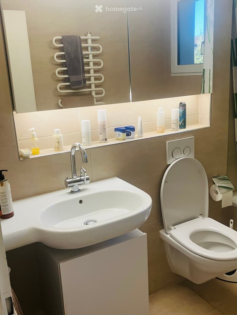 Modern bathroom with a white sink, chrome faucet, toilet, towel rack, and various toiletries on the windowsill.