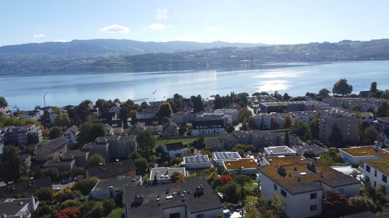 Aerial view of a residential area with houses, trees, and a lake in the background.