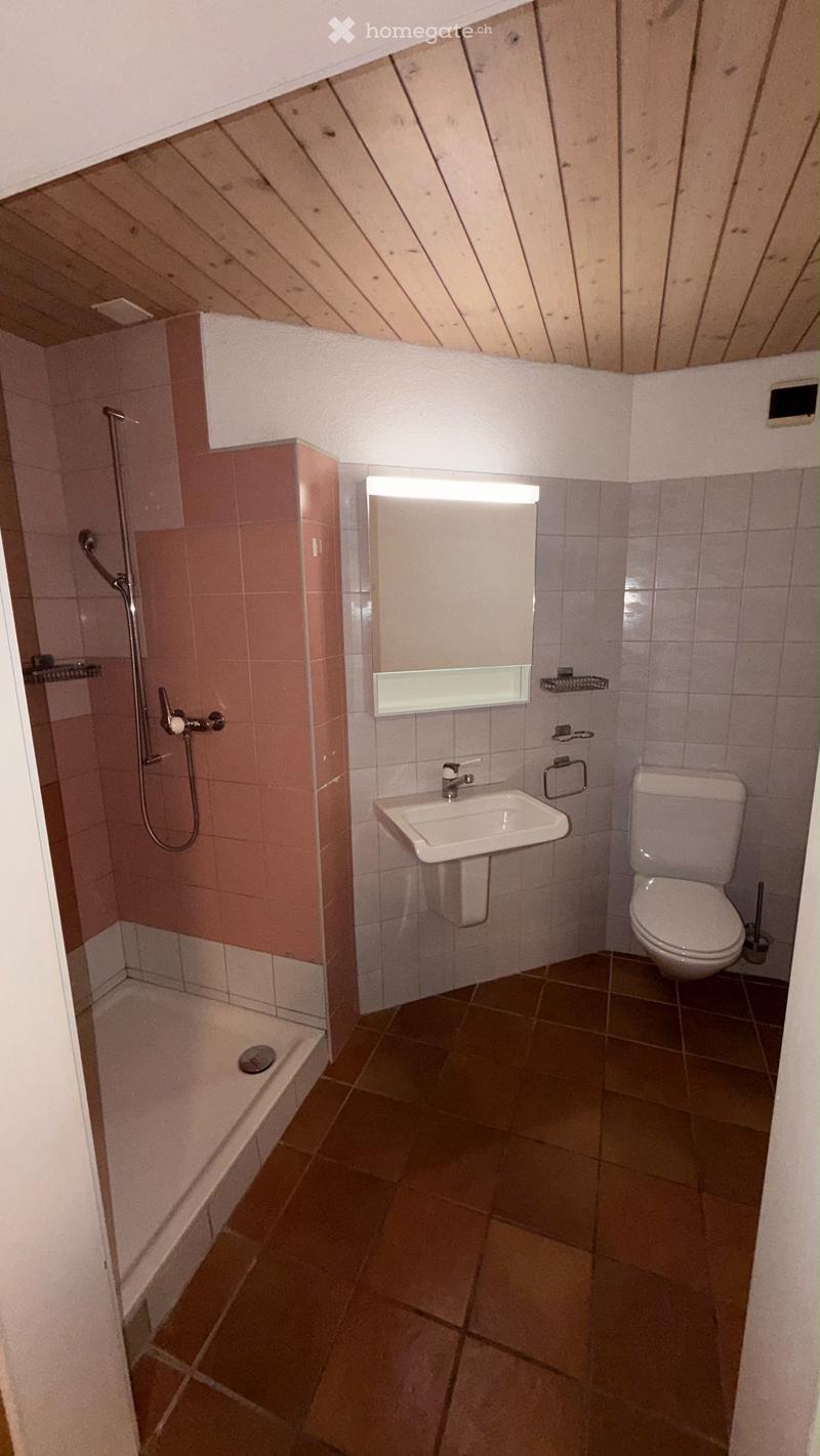 Modern bathroom with a shower, toilet, sink, and mirror. Features tiled walls and a sloped wooden ceiling.