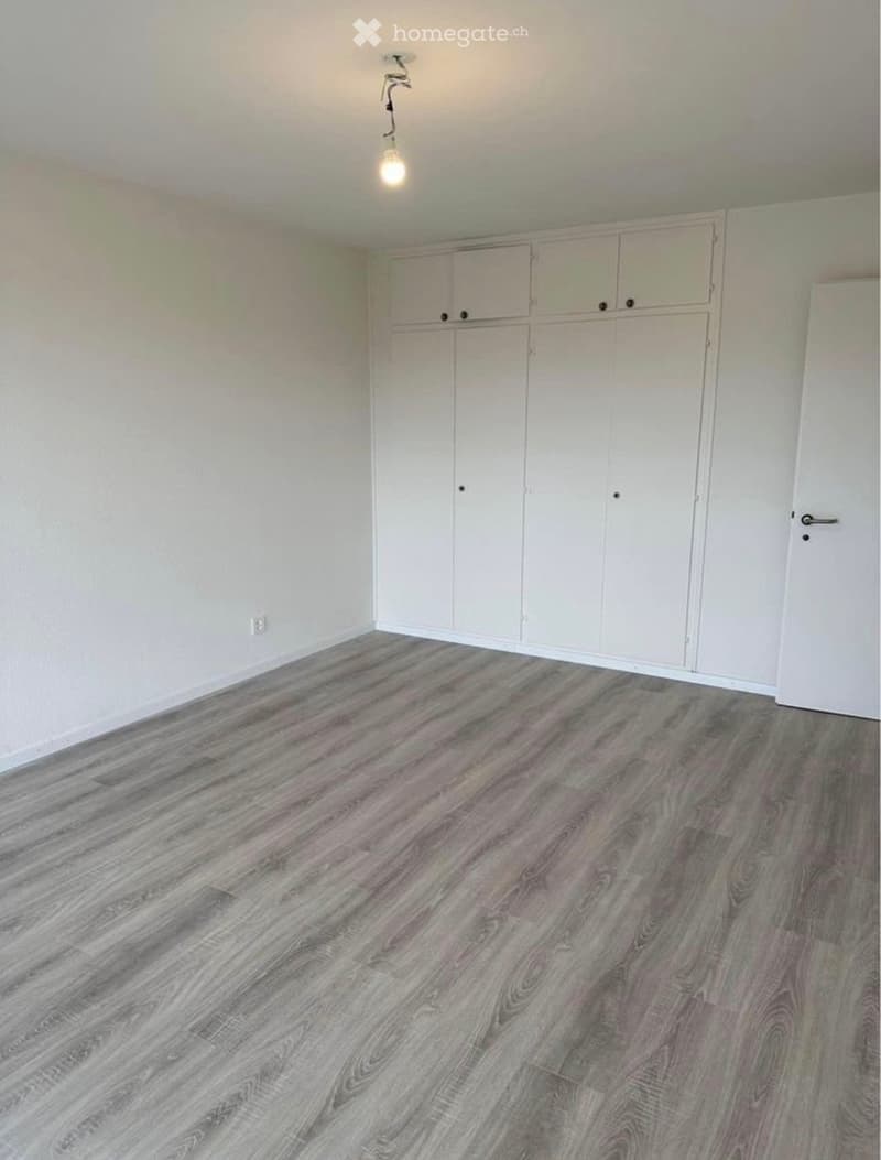 Empty room with light-colored walls, white built-in cabinets, and a modern grey and white wood laminate floor.