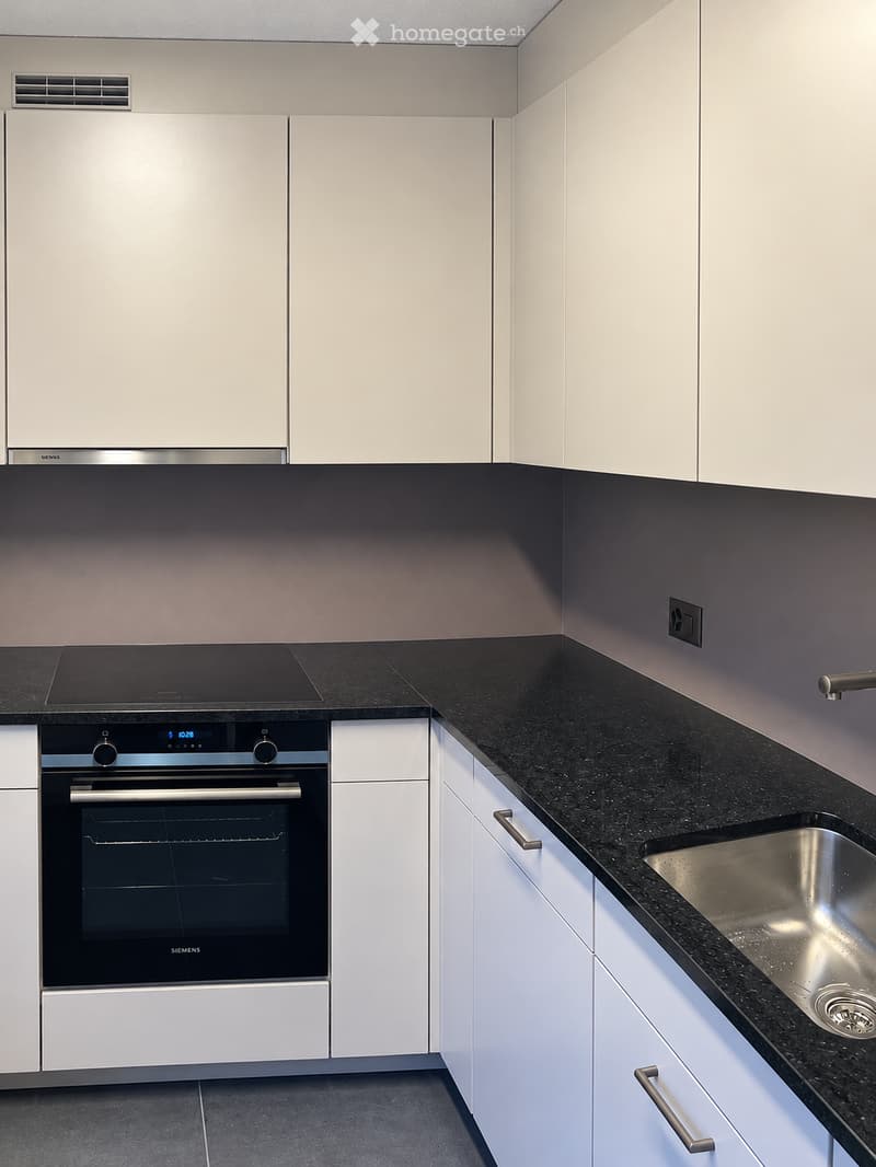 Modern kitchen with white cabinets, black countertops, stainless steel sink, and built-in oven.