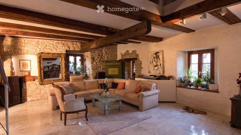 Living room with exposed wooden beams, stone wall, large sofa, coffee table, armchair, mirror, and decorative plants.