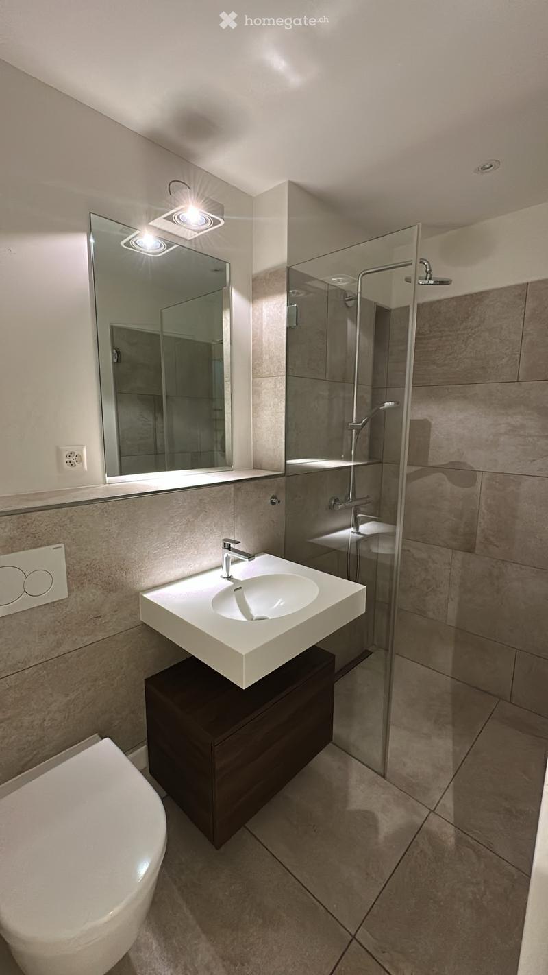 Modern bathroom with a white sink, dark wooden cabinet, large mirror, and glass-enclosed shower area.