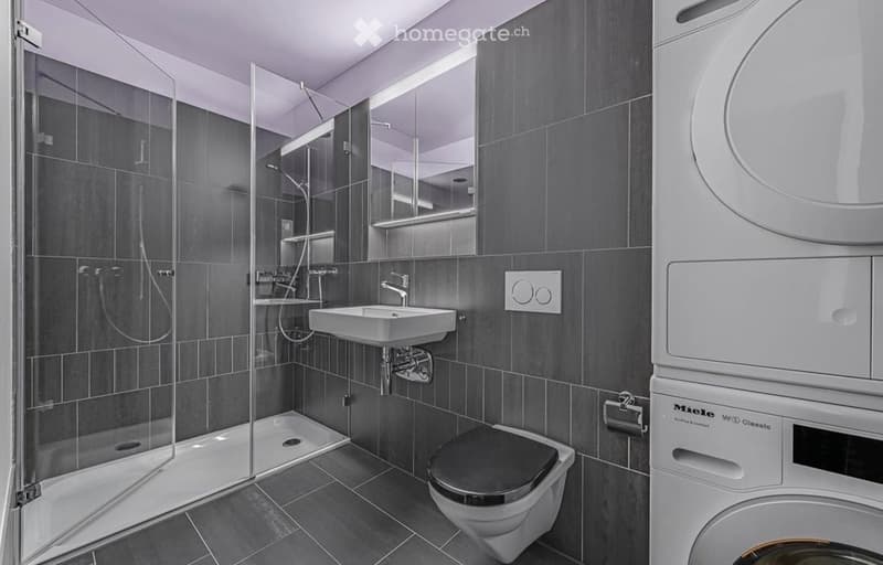 Modern bathroom with dark grey tiles, a glass-enclosed shower, a white sink, a toilet, and a stacked washing machine and dryer unit.