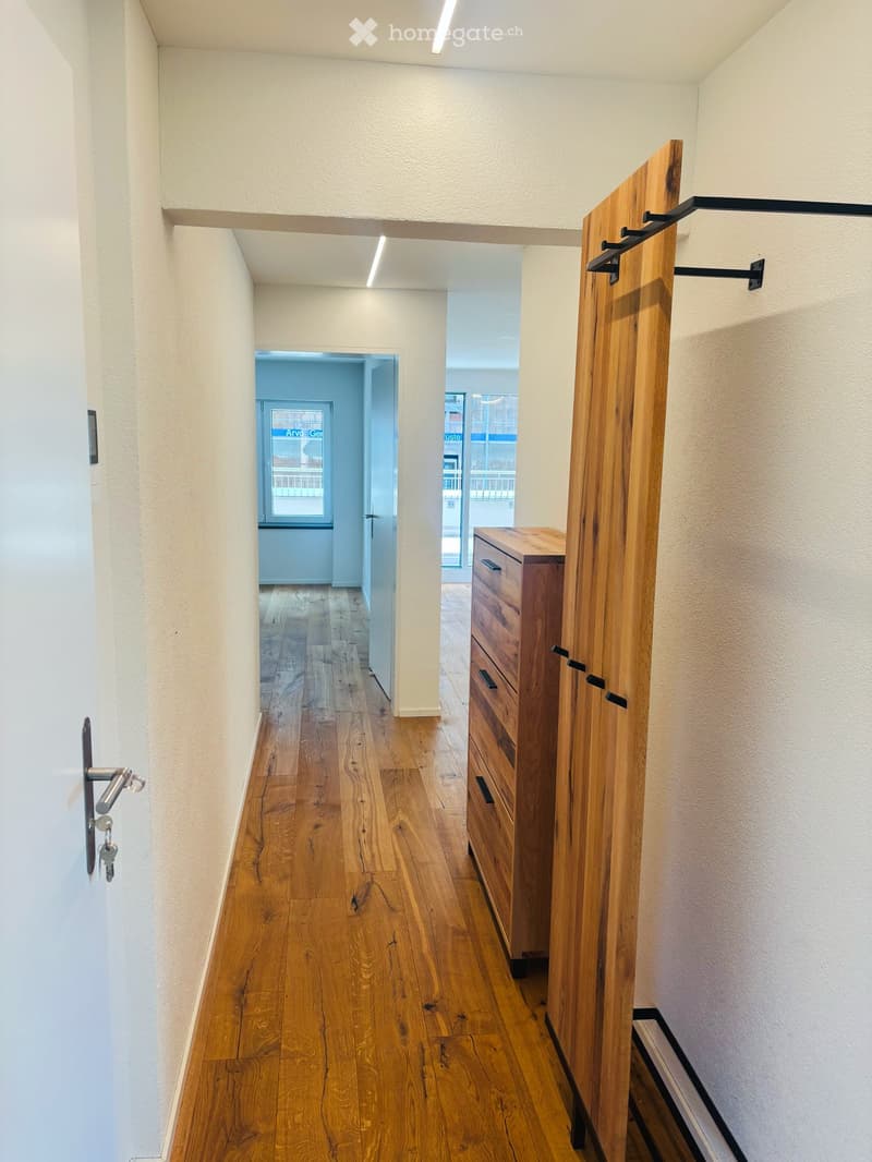 Bright and Modern 4.5-Room Apartment in Siebnen (6)