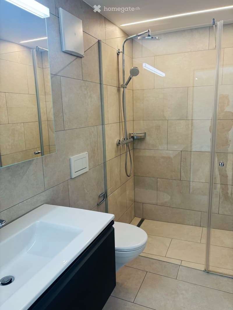 Bright and Modern 4.5-Room Apartment in Siebnen (8)