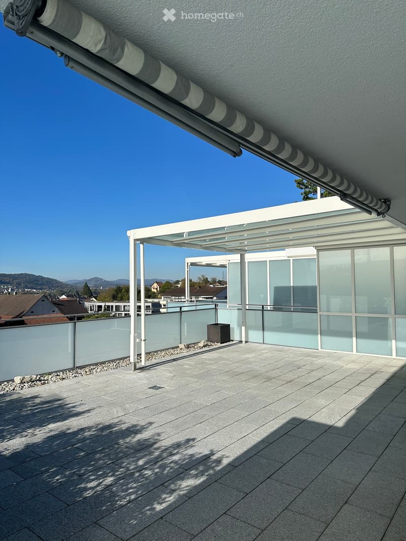 Modern rooftop terrace with a glass roof structure, tiled floor, and a small planter in the corner.