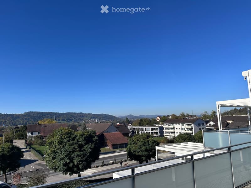 View from a balcony or terrace showing a suburban neighborhood with houses, trees, and a clear blue sky.