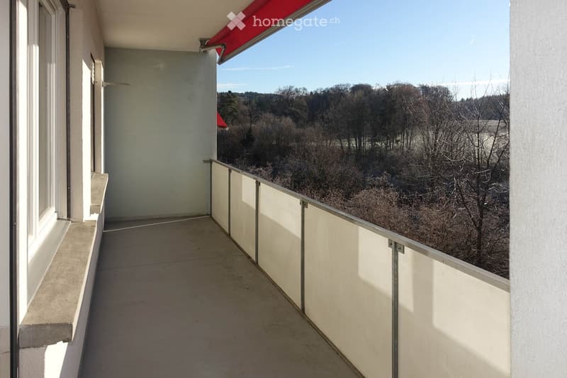 Balcony with a view of a wooded area, featuring a red awning and a metal railing.