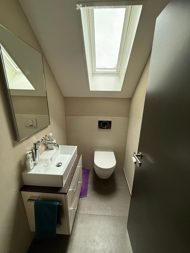 Modern bathroom with a white sink, toilet, and mirror, featuring a skylight window and built-in storage.