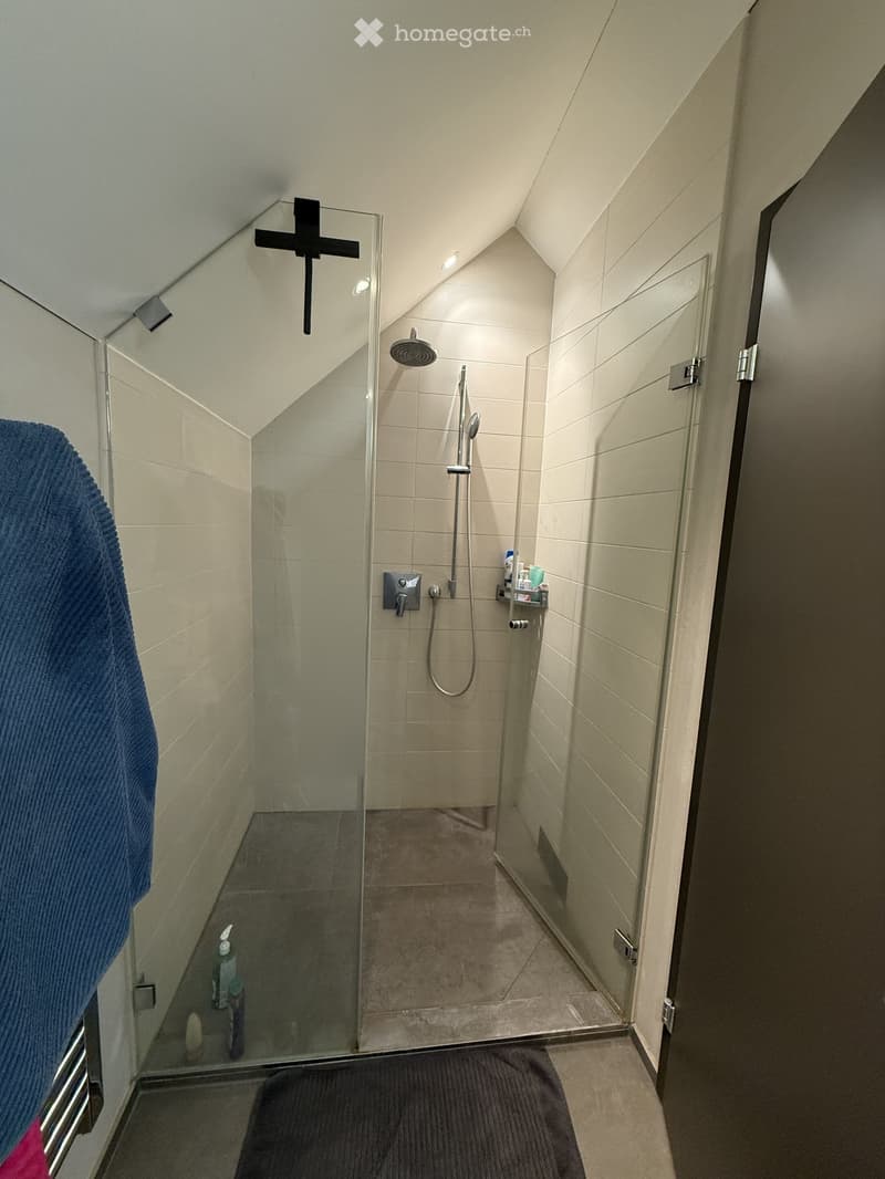 Modern bathroom with a glass-enclosed shower, sleek fixtures, and a towel hanging on a rack.