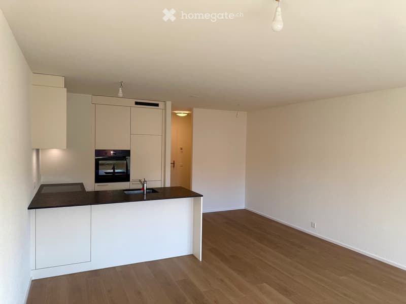 Modern kitchen with white cabinets, black countertop, sink, faucet, and built-in oven. Wooden flooring and bright lighting.