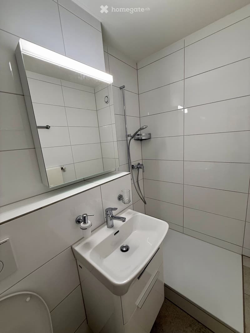 Modern bathroom with white tiled walls, a white sink with a chrome faucet, a large mirror with built-in lighting, a soap dispenser, and a shower hose attached to the wall.