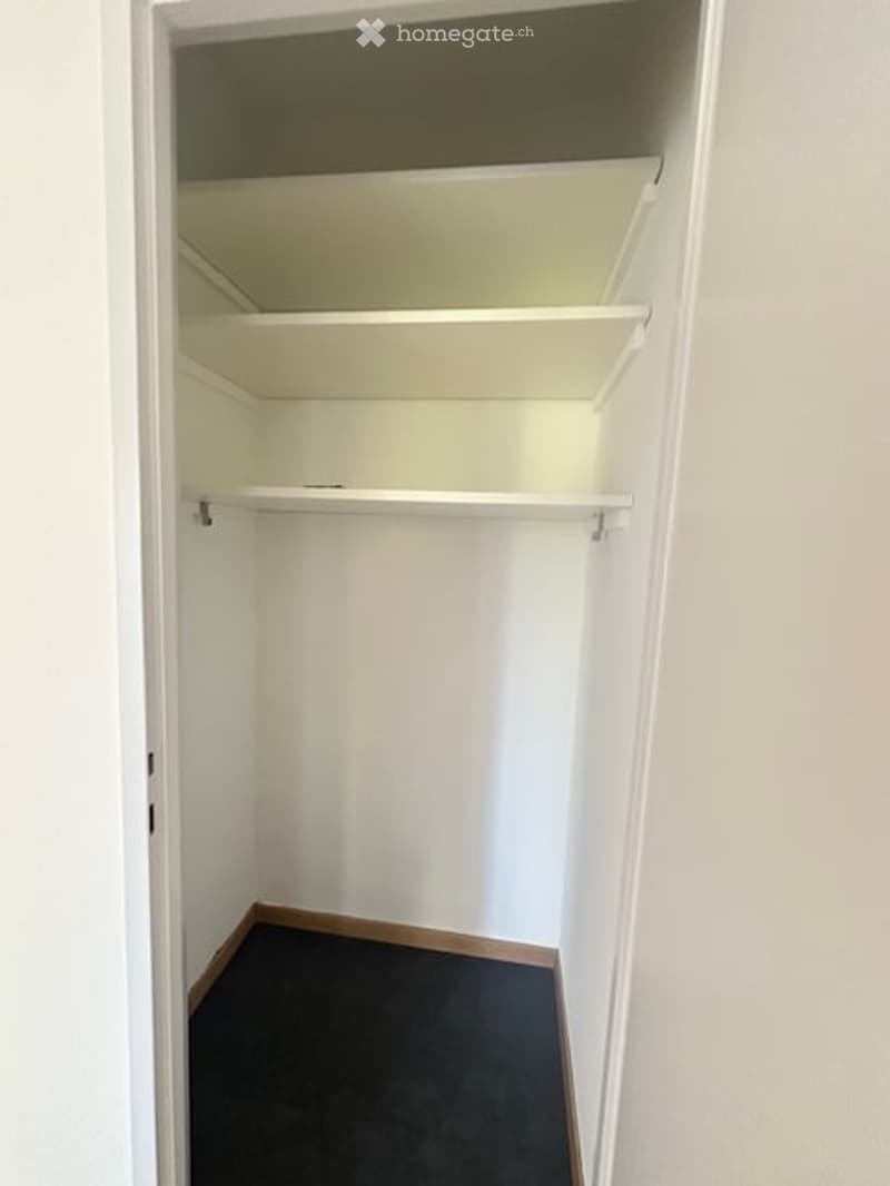 Empty closet with white walls, white shelves, and dark flooring.