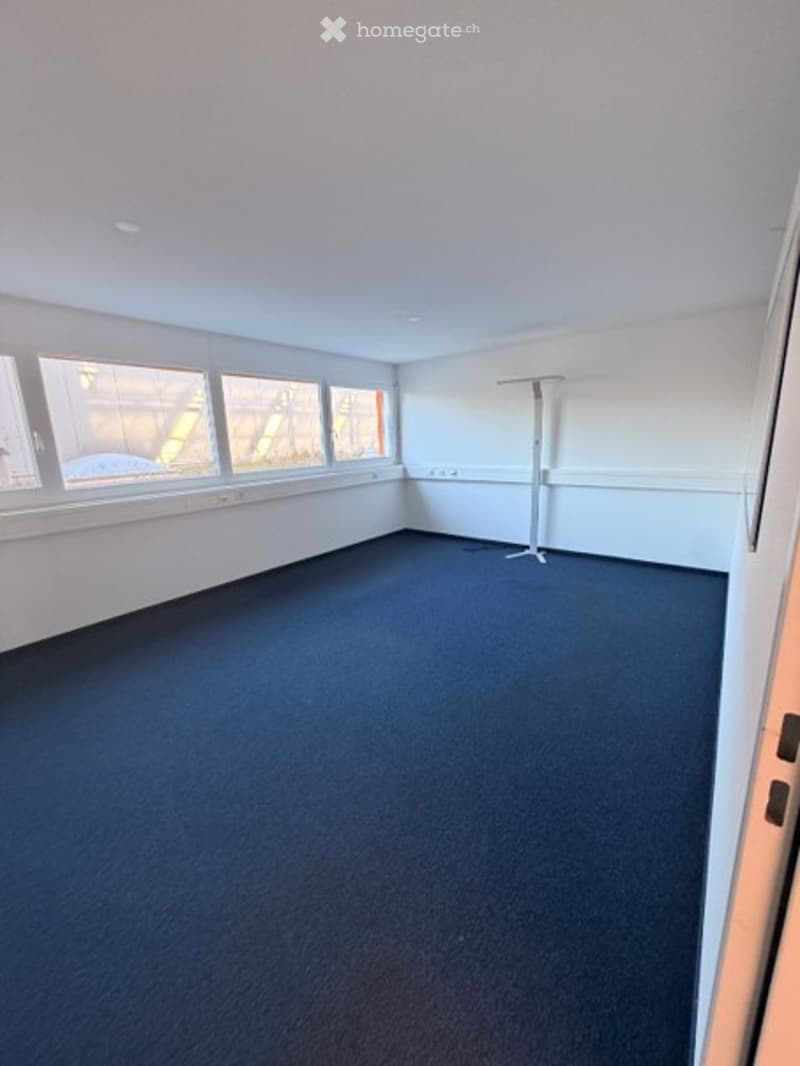 Empty room with blue carpet, white walls, large windows, and a single stand-up table in the corner.