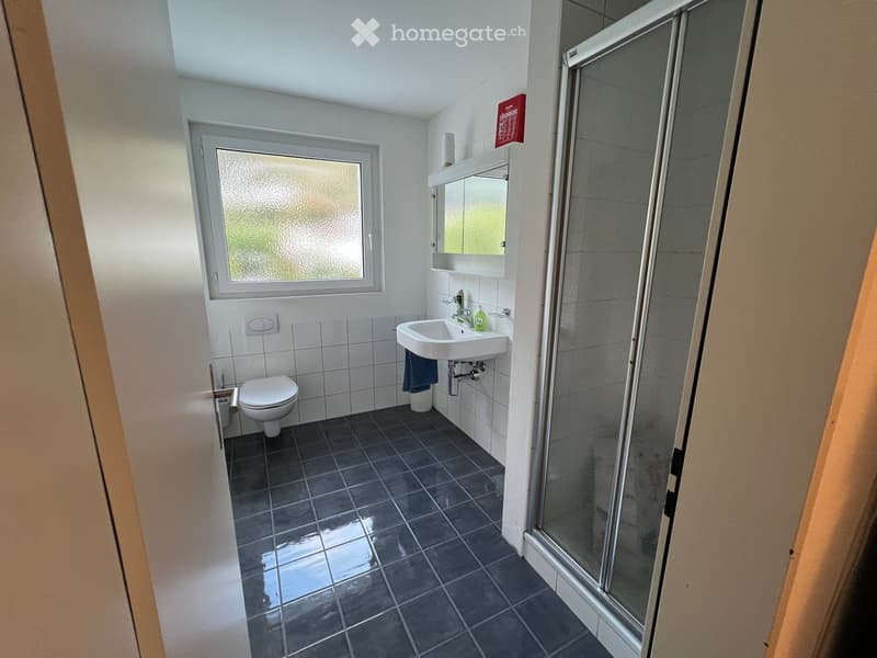 Modern bathroom with white tiles, dark tiled floor, toilet, sink, mirror, and glass-enclosed shower.