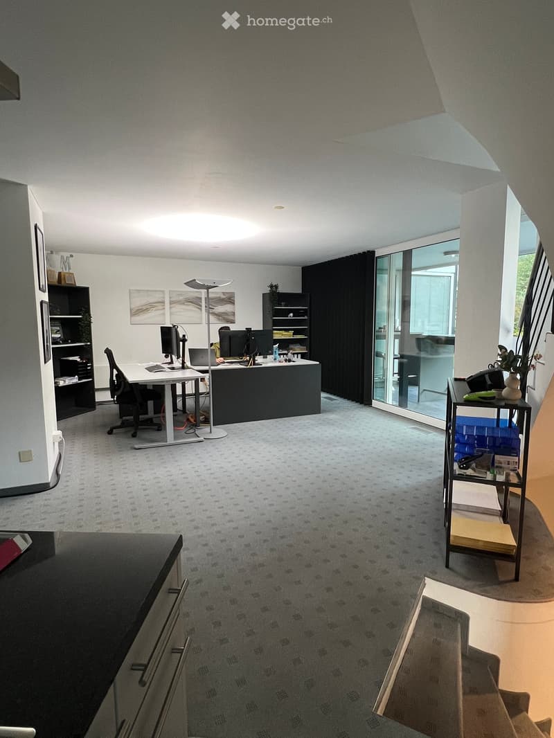 Modern office space with a desk, chair, laptop, computer monitor, floor lamp, shelves, and framed artwork. Large windows provide natural light, and the room features a carpeted floor and contemporary decor.