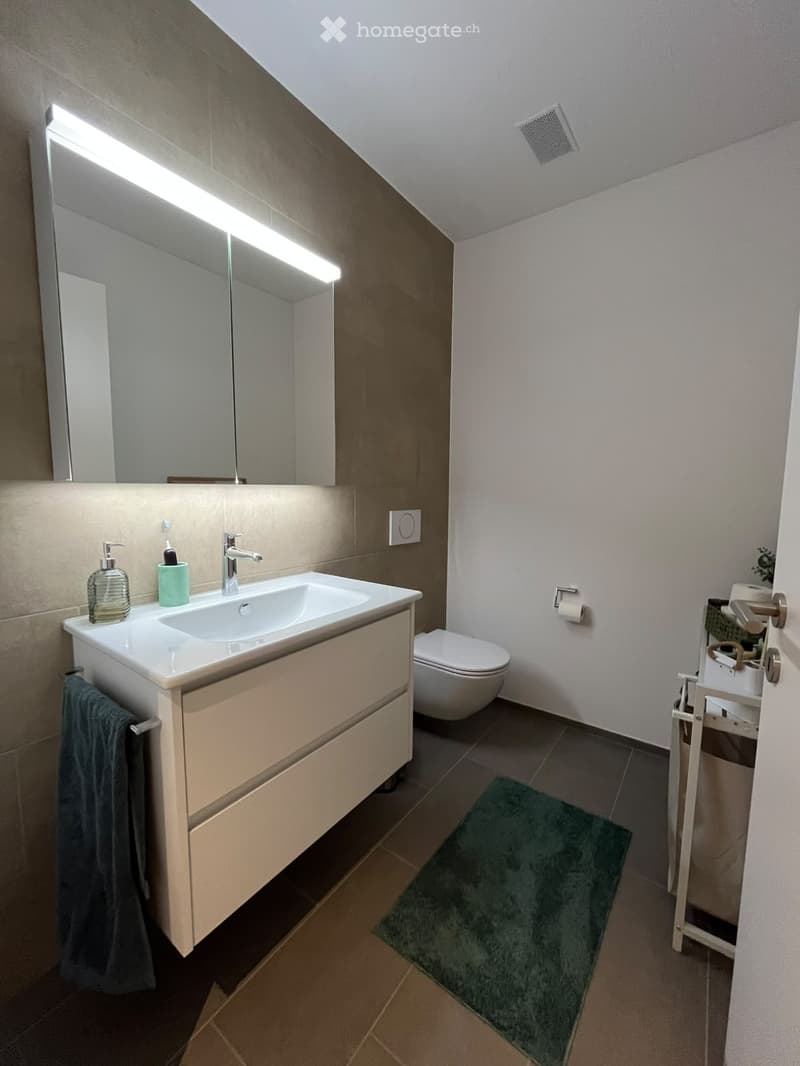 Modern bathroom with a white sink, chrome faucet, large mirror, toilet, and a small green rug on the floor.