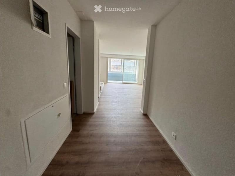 A long, narrow hallway with wooden flooring and light-colored walls. There is a small window at the far end, and a door leading to another room.