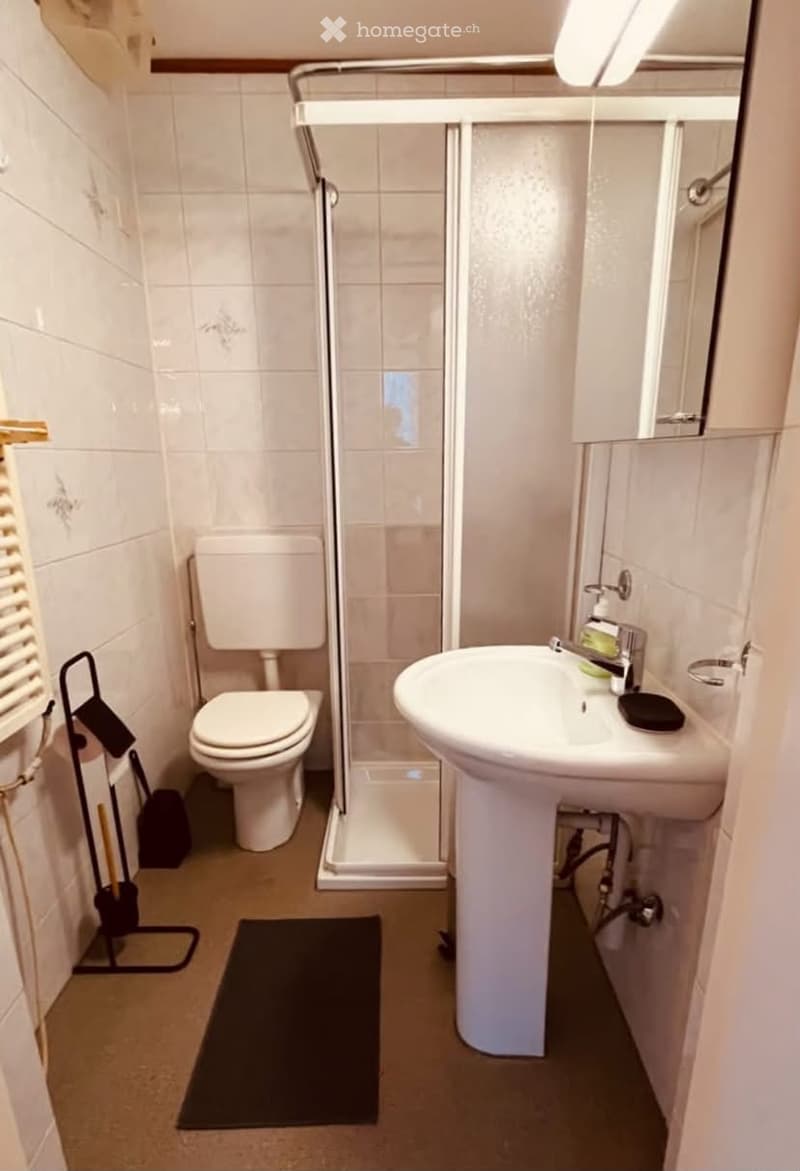 A compact bathroom with white tiles, a toilet, a sink with a mirror, a shower area, and a small black rug on the floor.