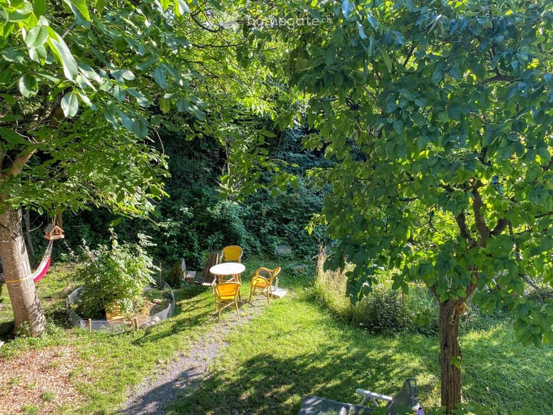 A garden surrounded by trees, a patio with a table and chairs, a hammock, and a wooden bench
