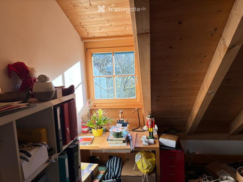 wooden ceiling, desk, window, potted plants, wooden shelf with various items