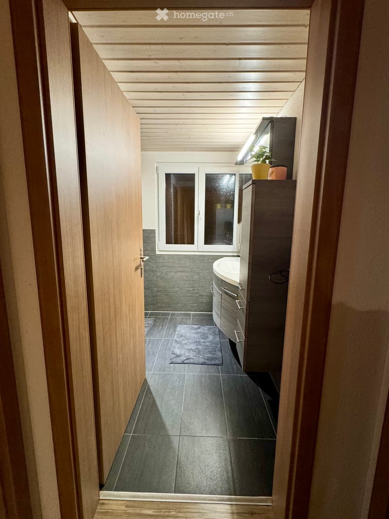 Modern bathroom with dark tiled floor, grey cabinet, sink, mirror, and small rug.