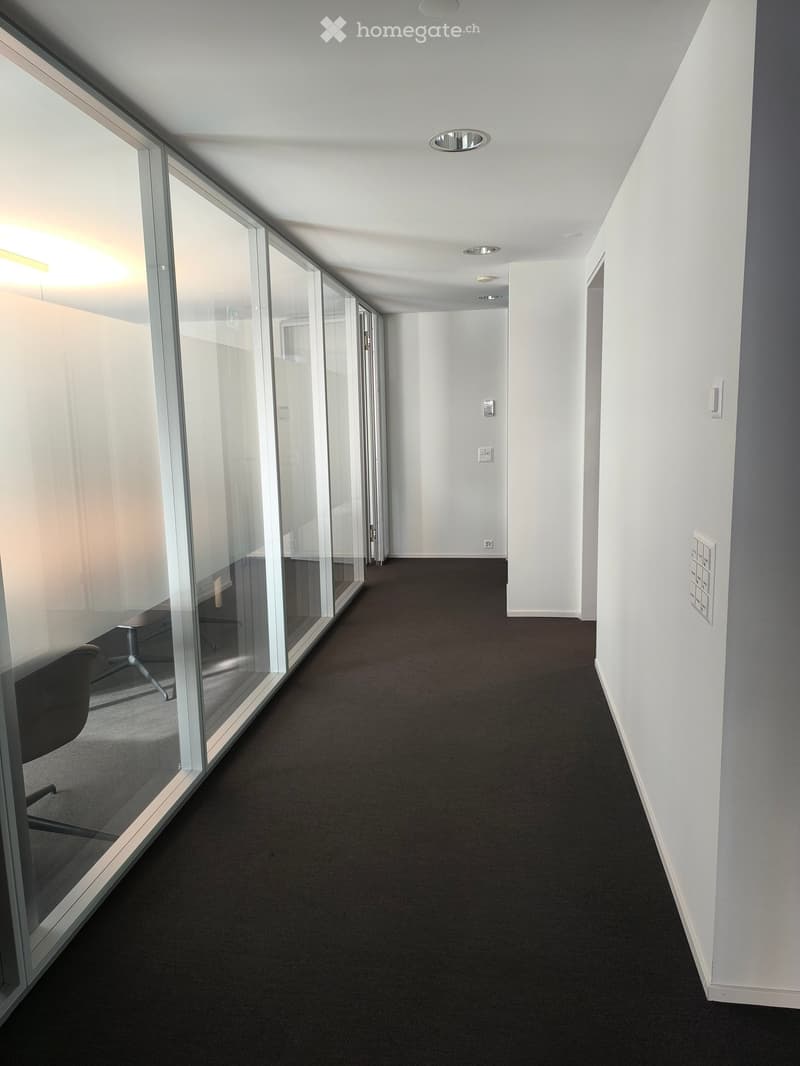 Modern hallway with glass partitions on one side, white walls, and dark carpeted flooring.