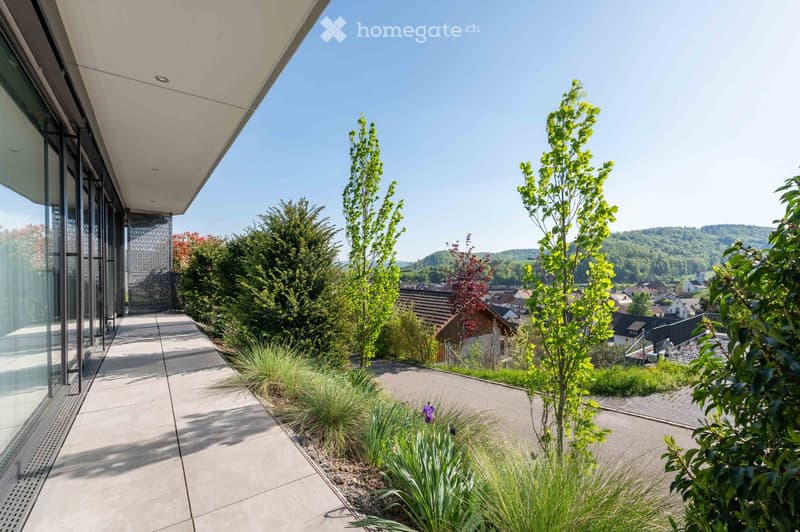 Modern outdoor area with a concrete pathway, glass-walled building, and landscaped greenery including trees and shrubs, overlooking a town with visible houses and hills in the background.
