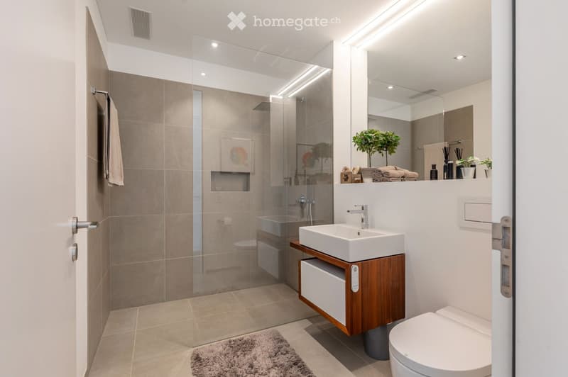 Modern bathroom with a white sink, wooden cabinet, toilet, glass-enclosed shower, and decorative plants on the vanity.