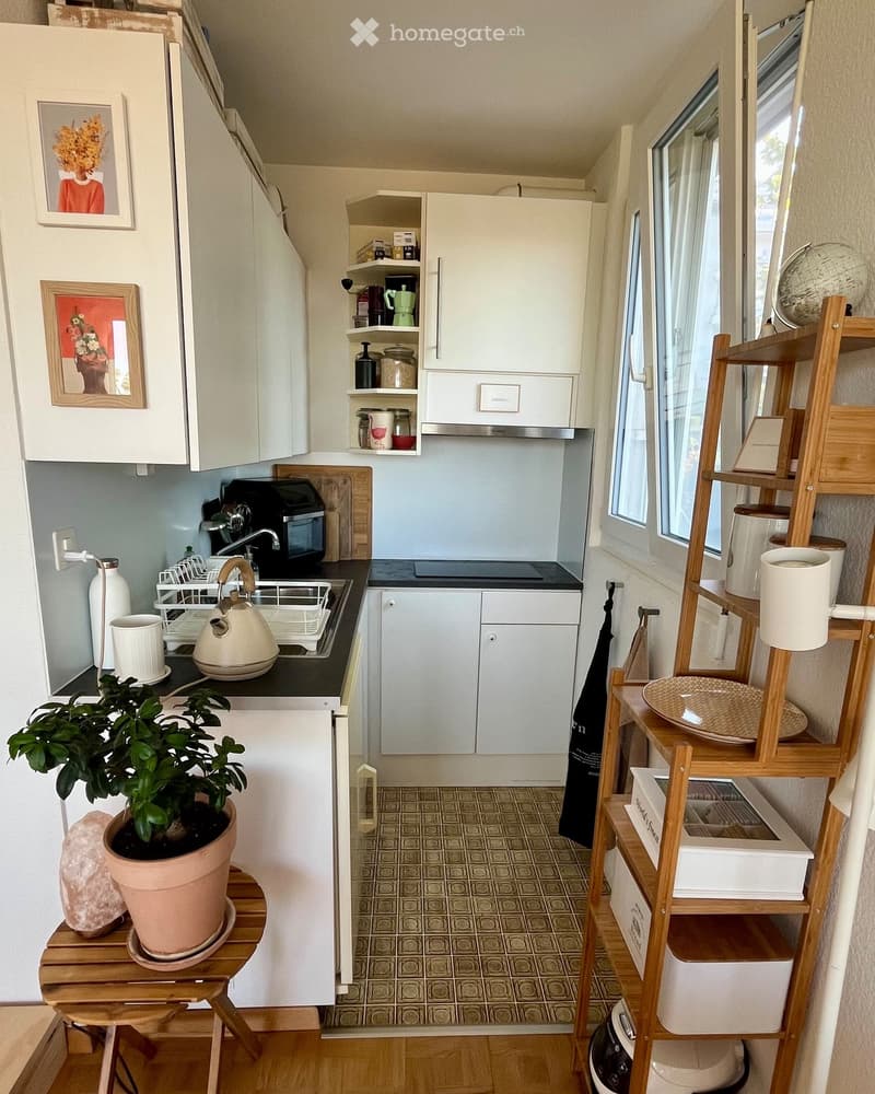 Modern kitchen with white cabinets, stainless steel appliances, and a black countertop. Features include a sink with a faucet, a dish rack, a teapot, a plant on a wooden stool, and a wooden shelf with plates and a globe.