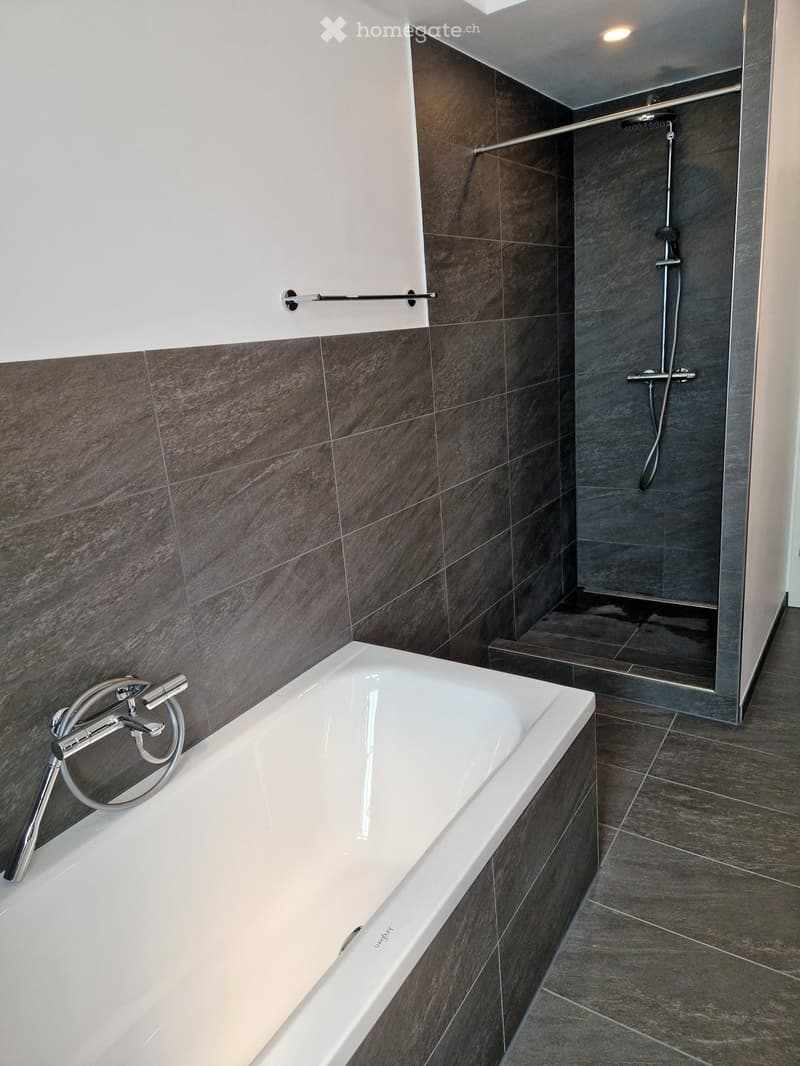 Modern bathroom with a white bathtub, chrome faucet, dark tiled walls, and a glass-enclosed shower area with a handheld showerhead and rail.