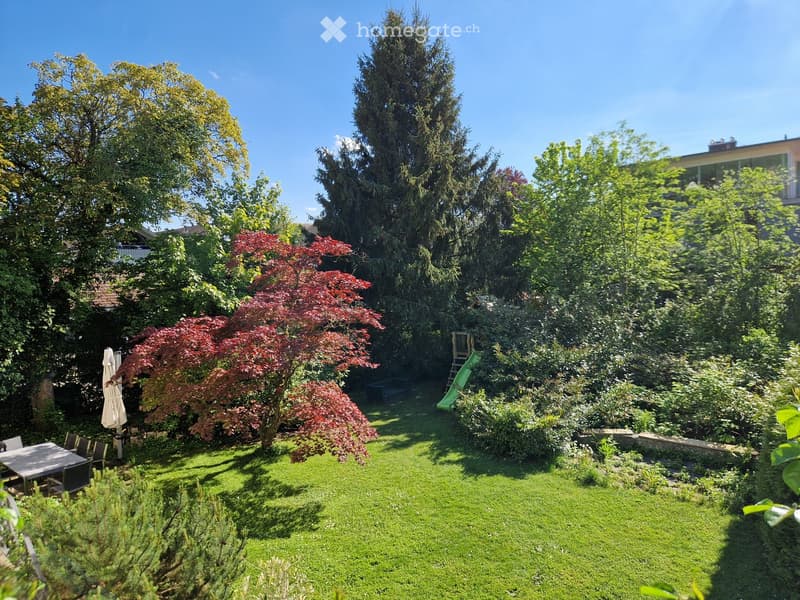 Well-maintained garden with a green lawn, a red maple tree, a small table and chairs, a green slide, and surrounding trees and shrubs.