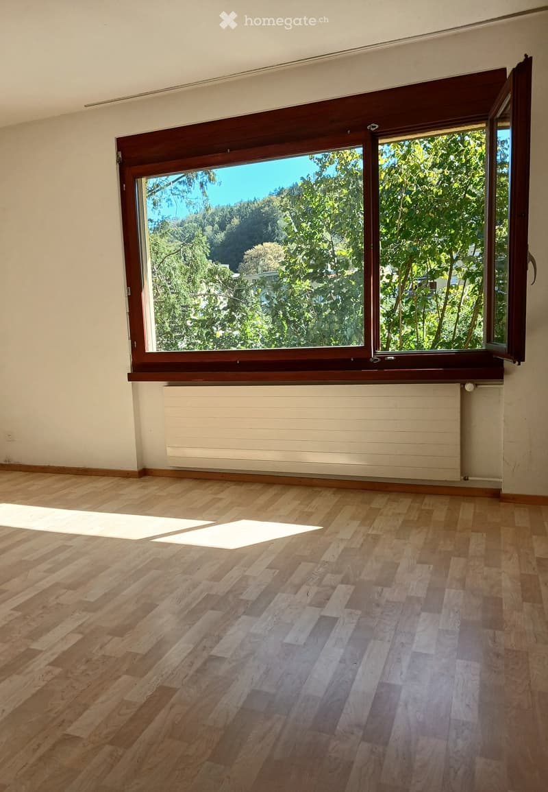 Empty room with wooden flooring, white walls, and a large window with wooden frame showing greenery outside.