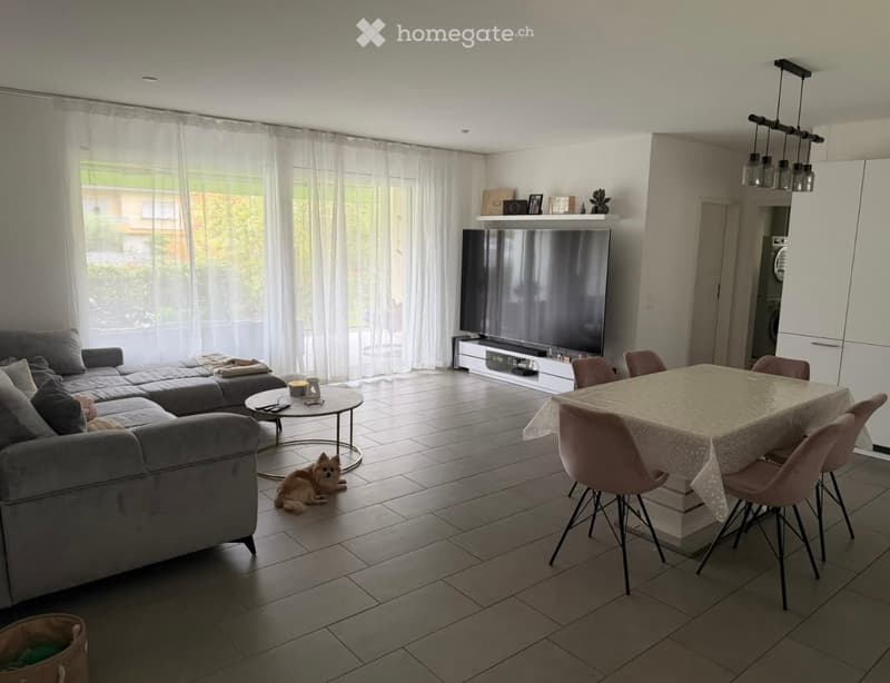Modern living and dining area with a grey sectional sofa, coffee table, flat-screen TV, dining table with chairs, and a small dog resting on the floor.