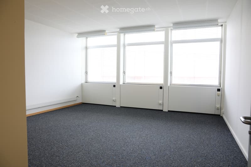 Empty room with white walls, carpeted floor, large windows, and radiators beneath the windows.
