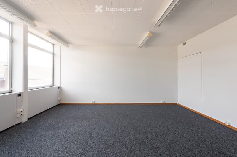 Empty room with white walls, grey carpet, large windows, and fluorescent lighting.