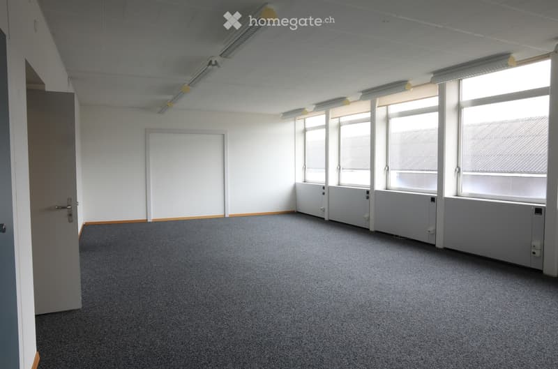 Empty room with white walls, grey carpet, large windows, and a closed door.
