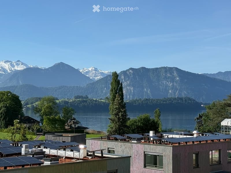 Roof view of a building with solar panels, overlooking a lake and snow-capped mountains.