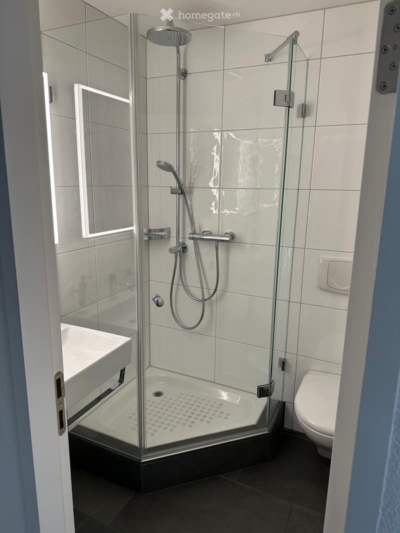 3 1/5 Zi Wohnung am Züriberg (10)