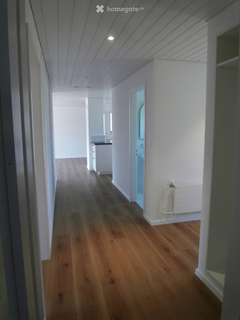 A long, narrow hallway with wooden flooring, white walls, and a slanted ceiling. The hallway leads to a small room with a sink and a mirror.