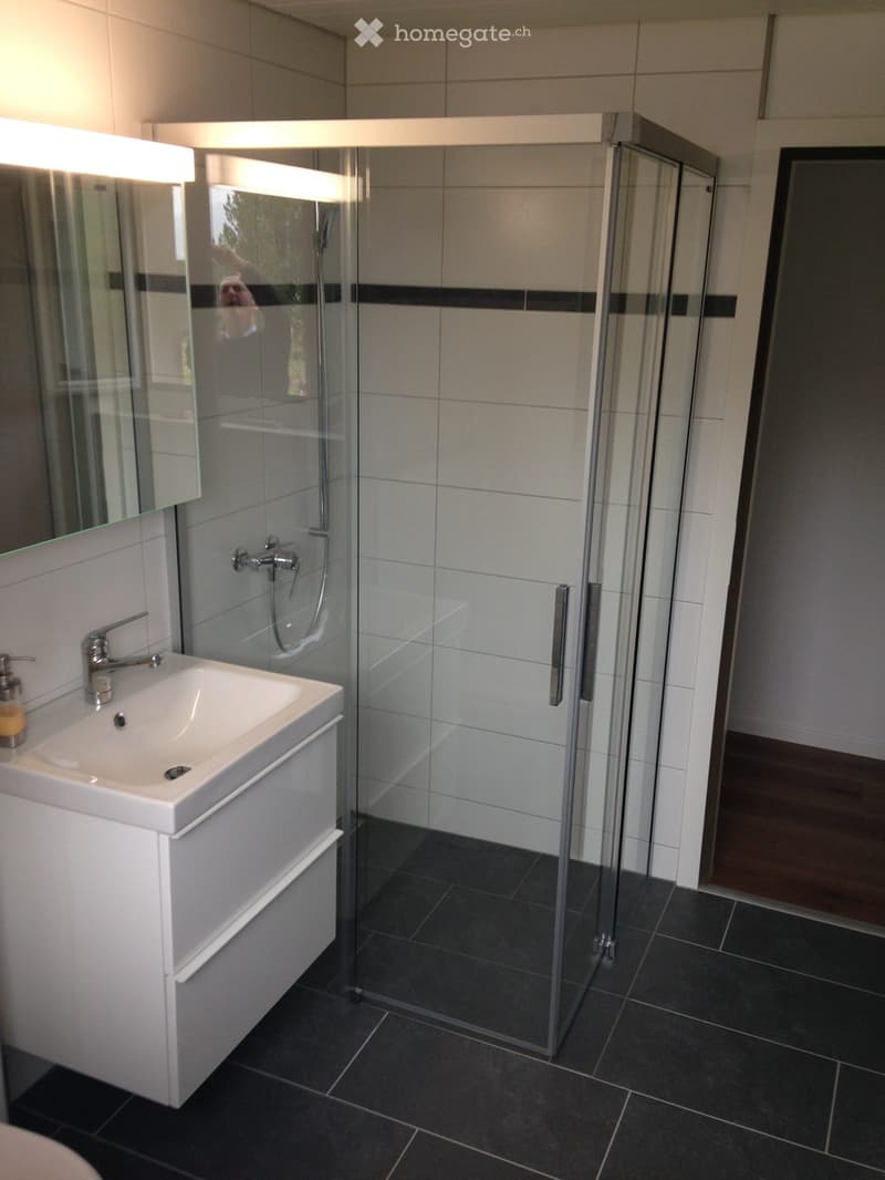 Modern bathroom with a white sink, chrome faucet, large mirror, and a glass-enclosed shower with a modern design.
